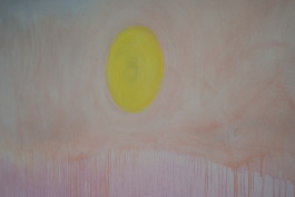 Shelly Reich